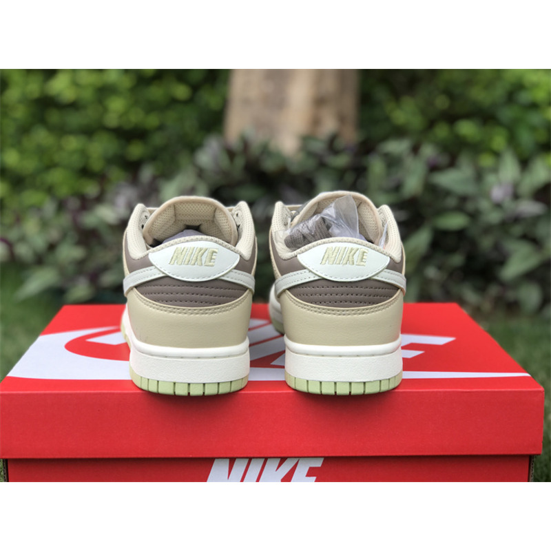 Nike Dunk Low Retro Judge Grey