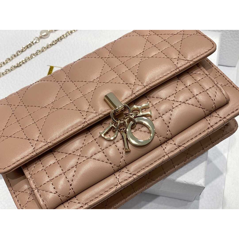 D*or hazelnut lady bag