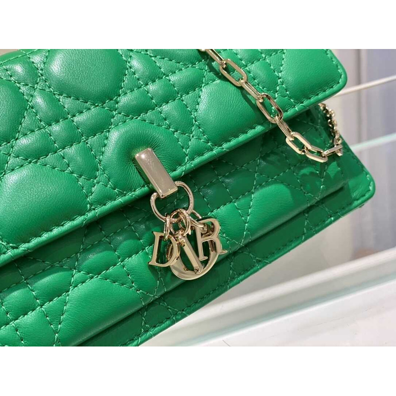D*or green lady bag