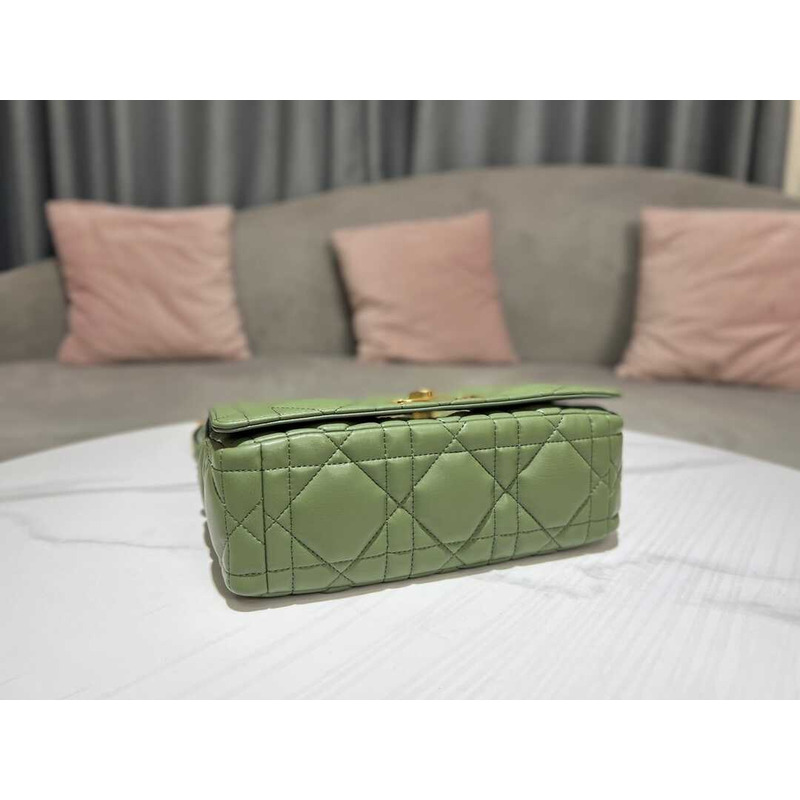 D*or celadon caro bag
