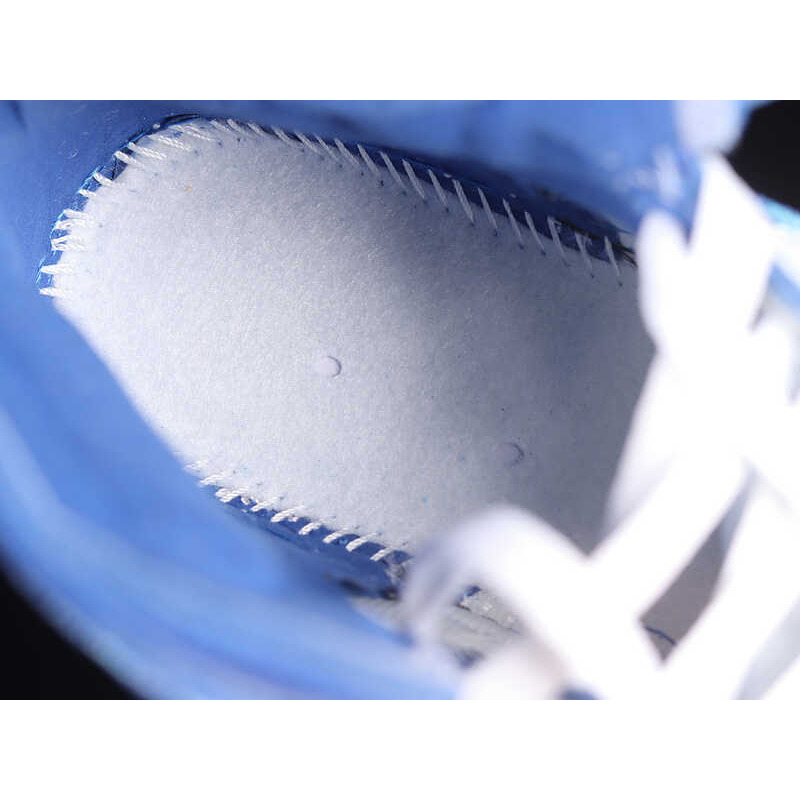 Nike Air Jordan 1 “25th Anniversary”