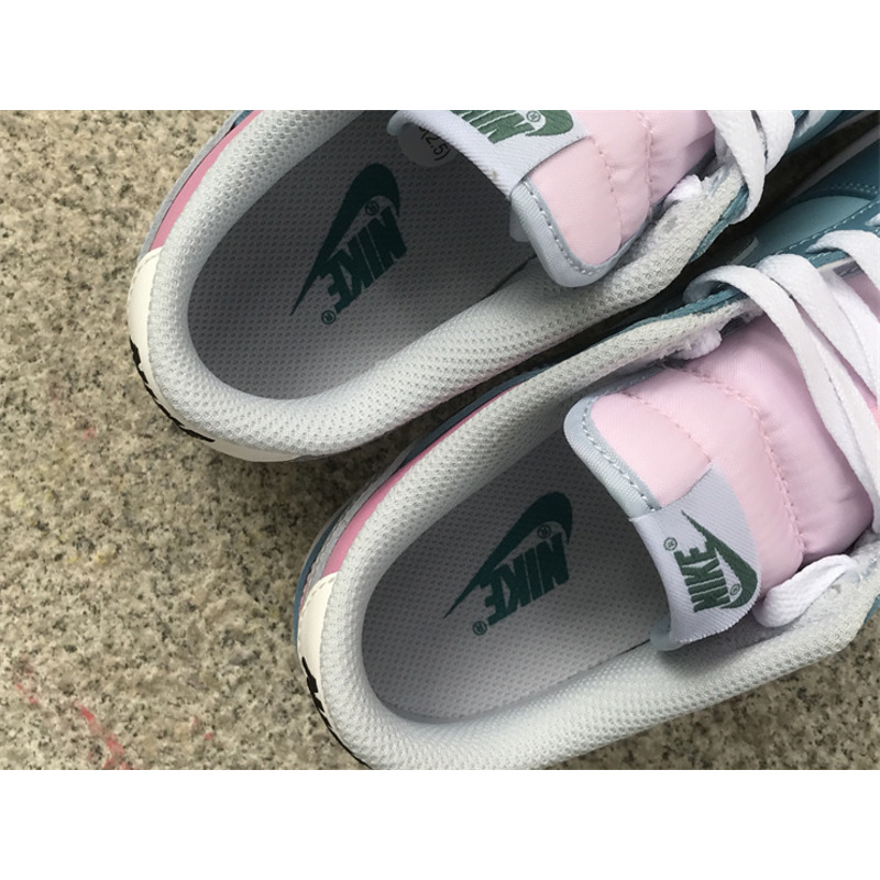 Nike Dunk Low Light Blue