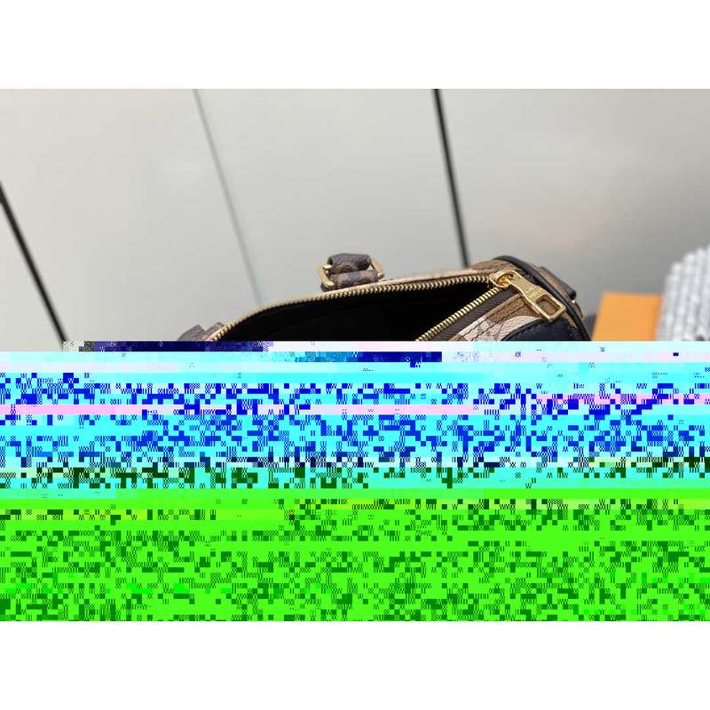 l**is V*t*n keepall 25 bag brown