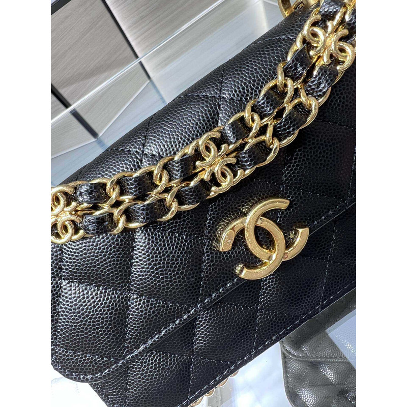 Ch*el 22 page title ohanel  bag