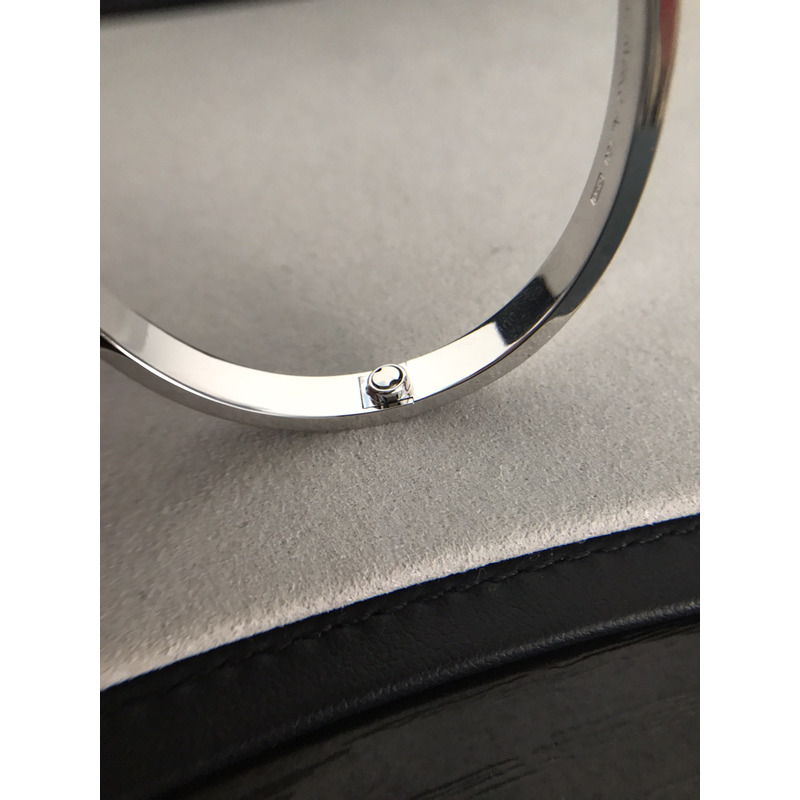 Cartier Love Bracelet Silver