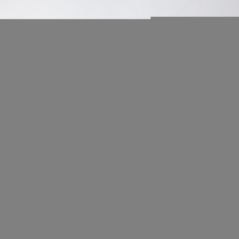 Alexander McQueen Sneaker(Suede Cerise Red Back)