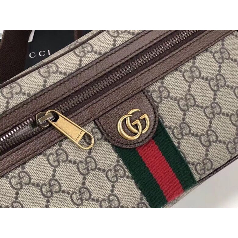 ophidia G*u*i belt bag