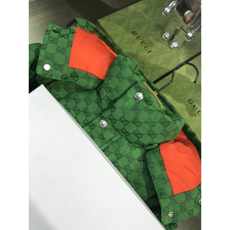 the n0*h F**e x g*u*i edition down jacket