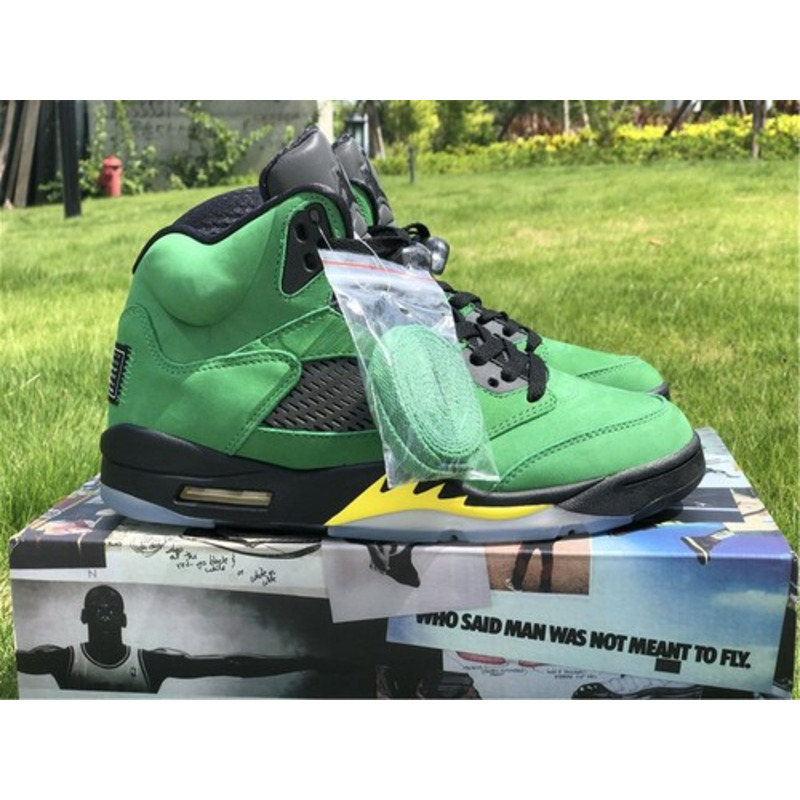 Air Jordan 5 SE
