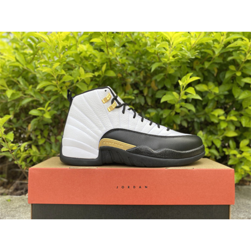 Air Jordan 12