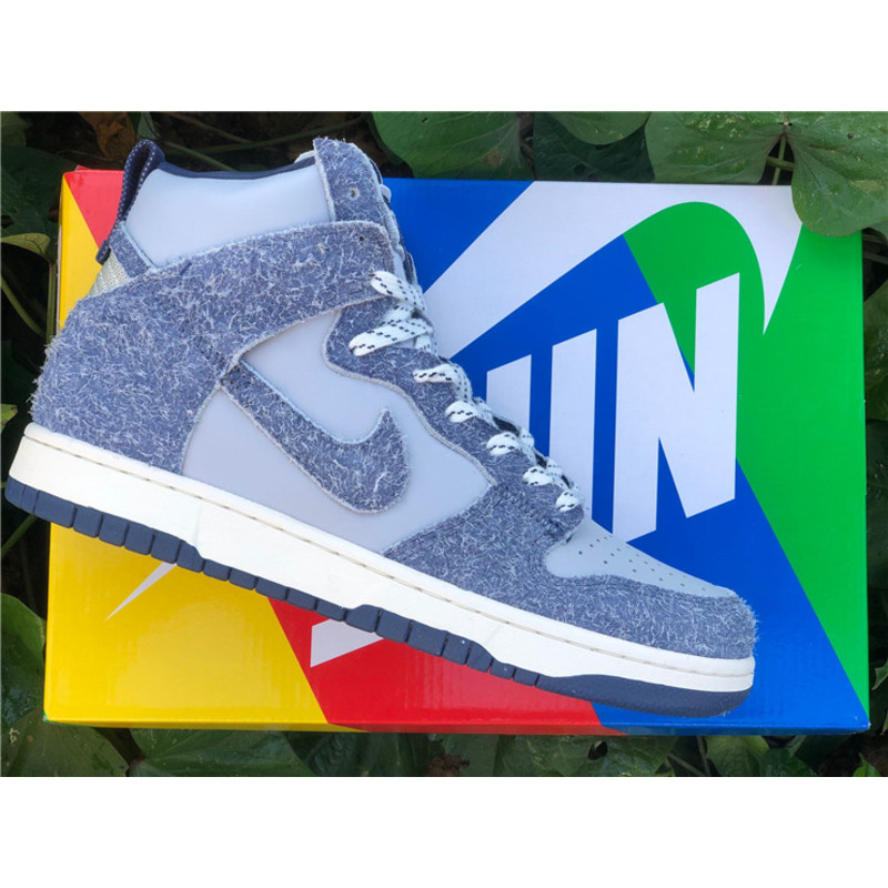 Nike Dunk HIGHT PRO CW3092 400 Sneakers Men Women
