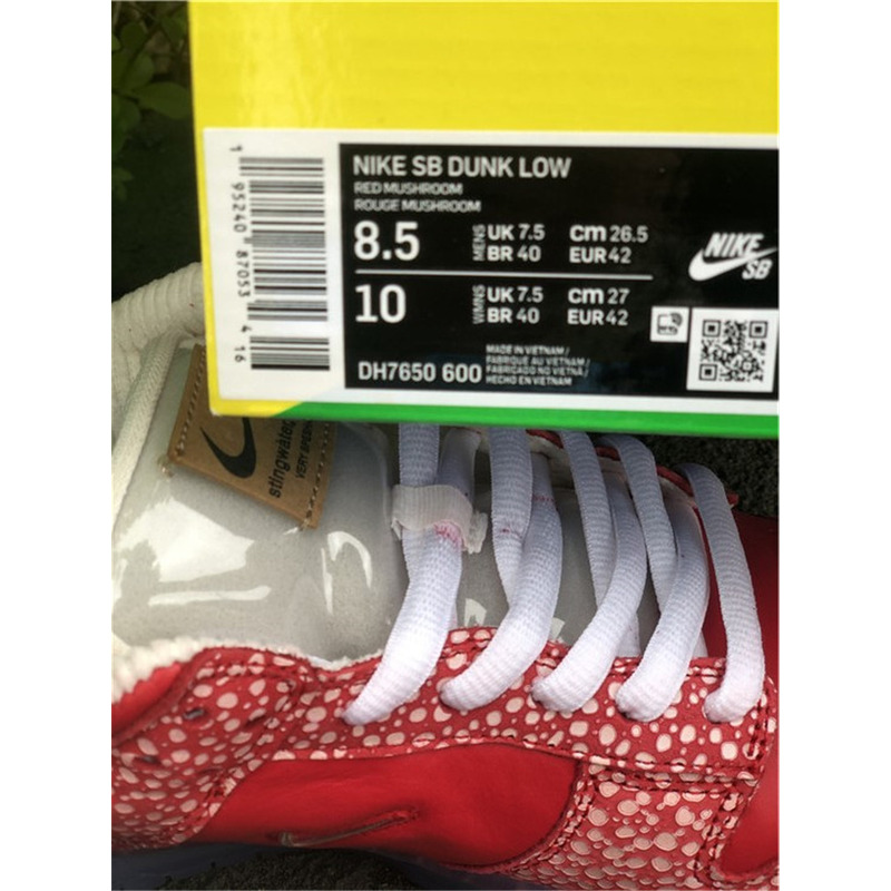 Nike SB Dunk Low DH7650 600 Sneakers Men Women