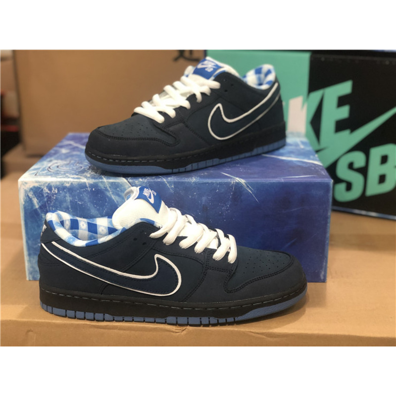 Nike SB Dunk Low Sneakers Men Women