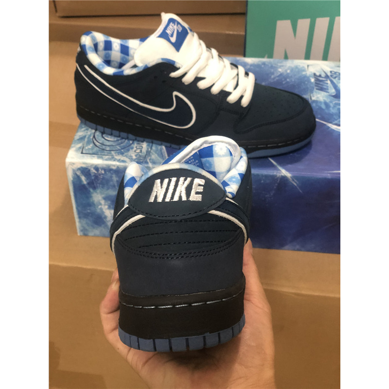 Nike SB Dunk Low Sneakers Men Women
