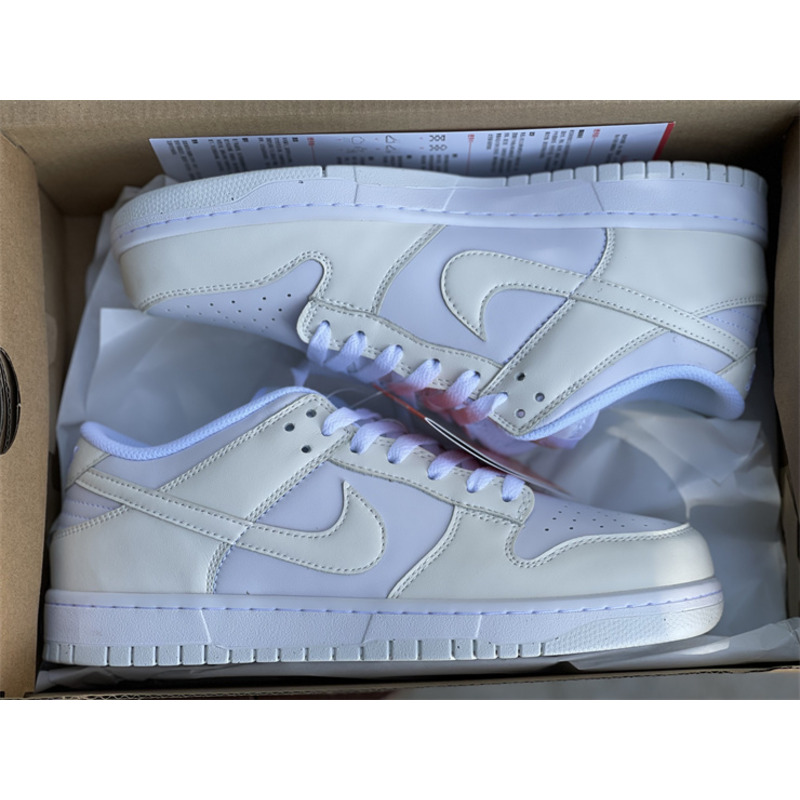 Nike SB Dunk Low DD1673 101 Sneakers Men Women