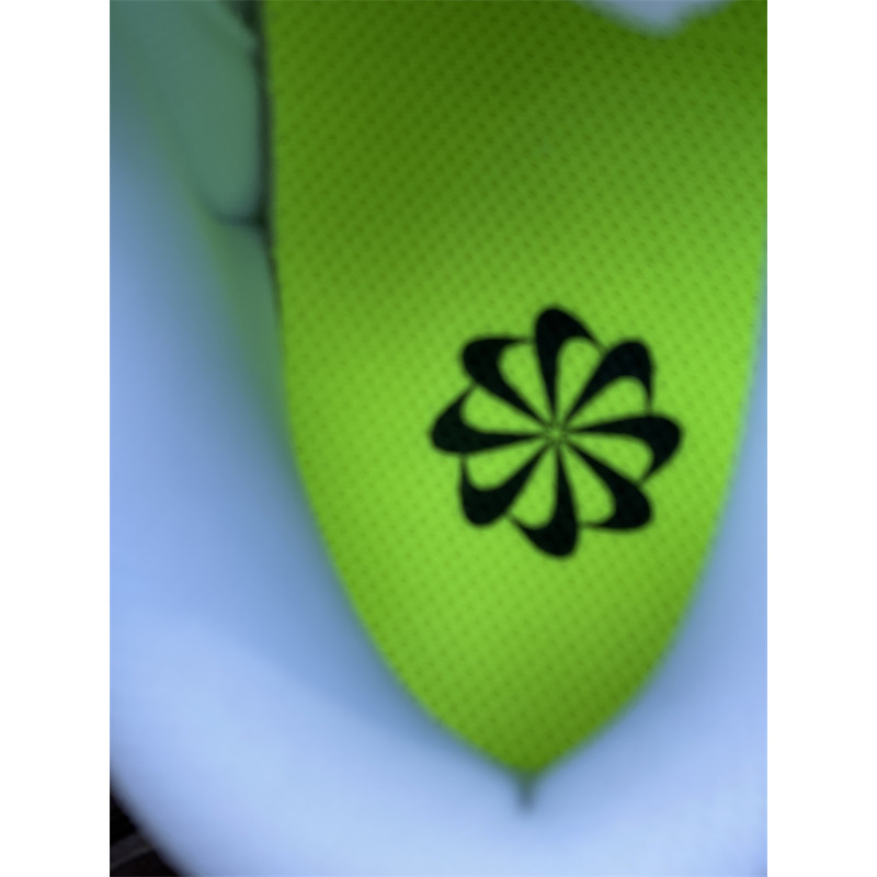 Nike SB Dunk Low DD1673 101 Sneakers Men Women