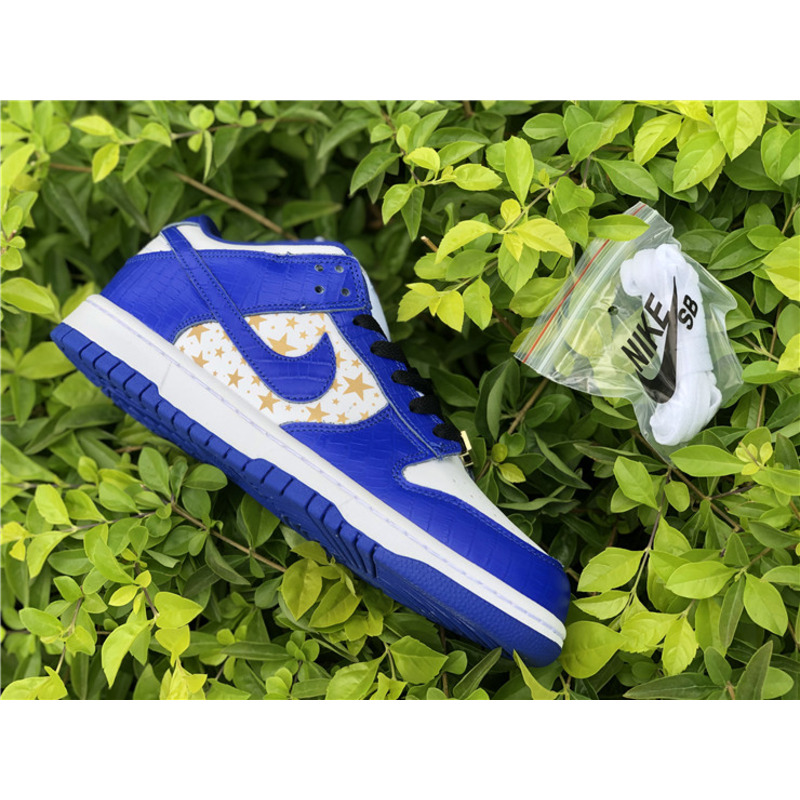 S*p*e x nike sb dunk low dh3228 100 sneakers men women