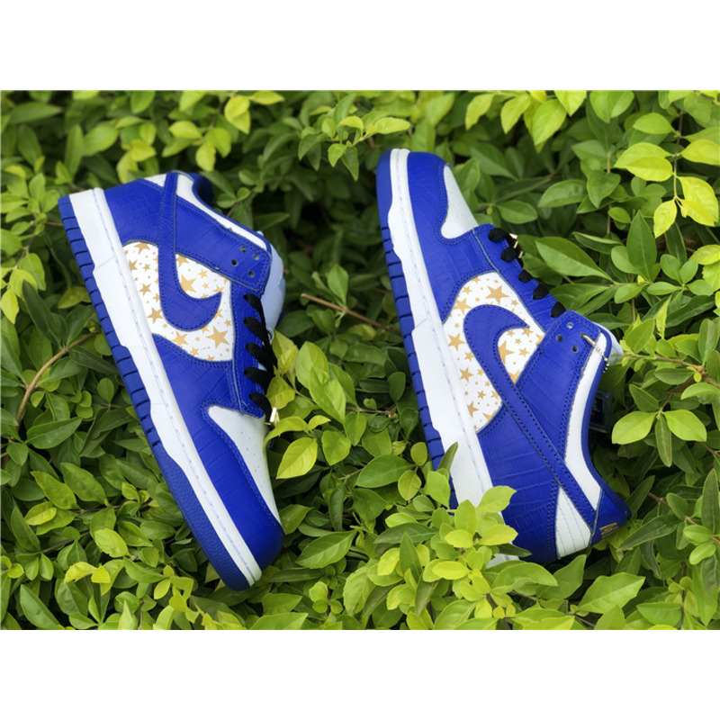 S*p*e x nike sb dunk low dh3228 100 sneakers men women